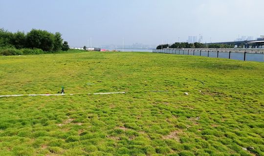 前海合作区铲湾渠土地平整和软基处理工程施工