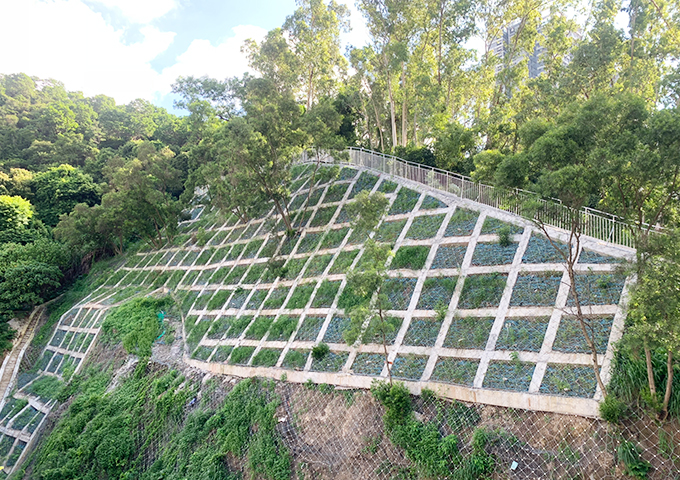 金湖山庄