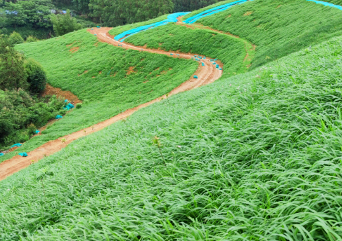 南岭国家公园环丹霞山片区生态环境系统保护修复工程（浈江区煤矸石矿区遗址生态环境修复治理）设计、施工总承包